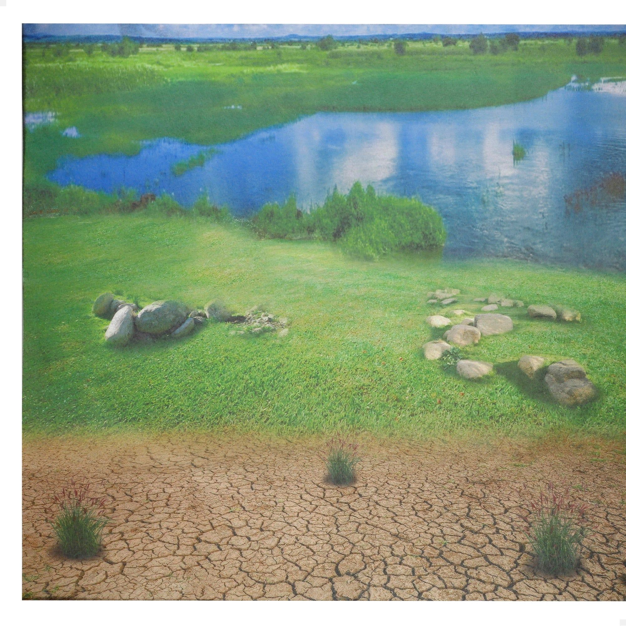 Set dinosaurios con tapete y accesorios 52 pzas. Animal World