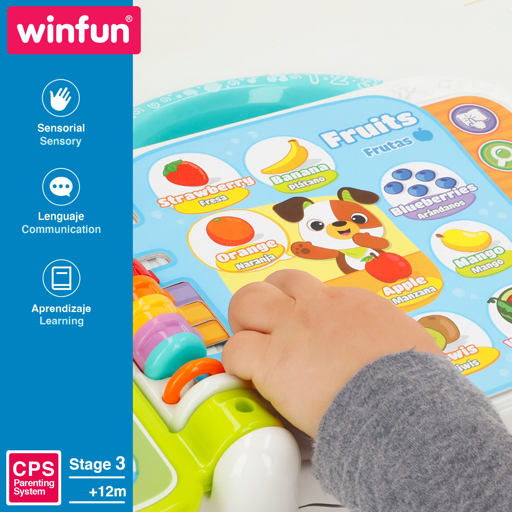 Winfun Libro aprendizaje primeras palabras español e inglés