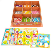 Montessori Lisciani Juego infantil de clasificación Box Colours 61 piezas