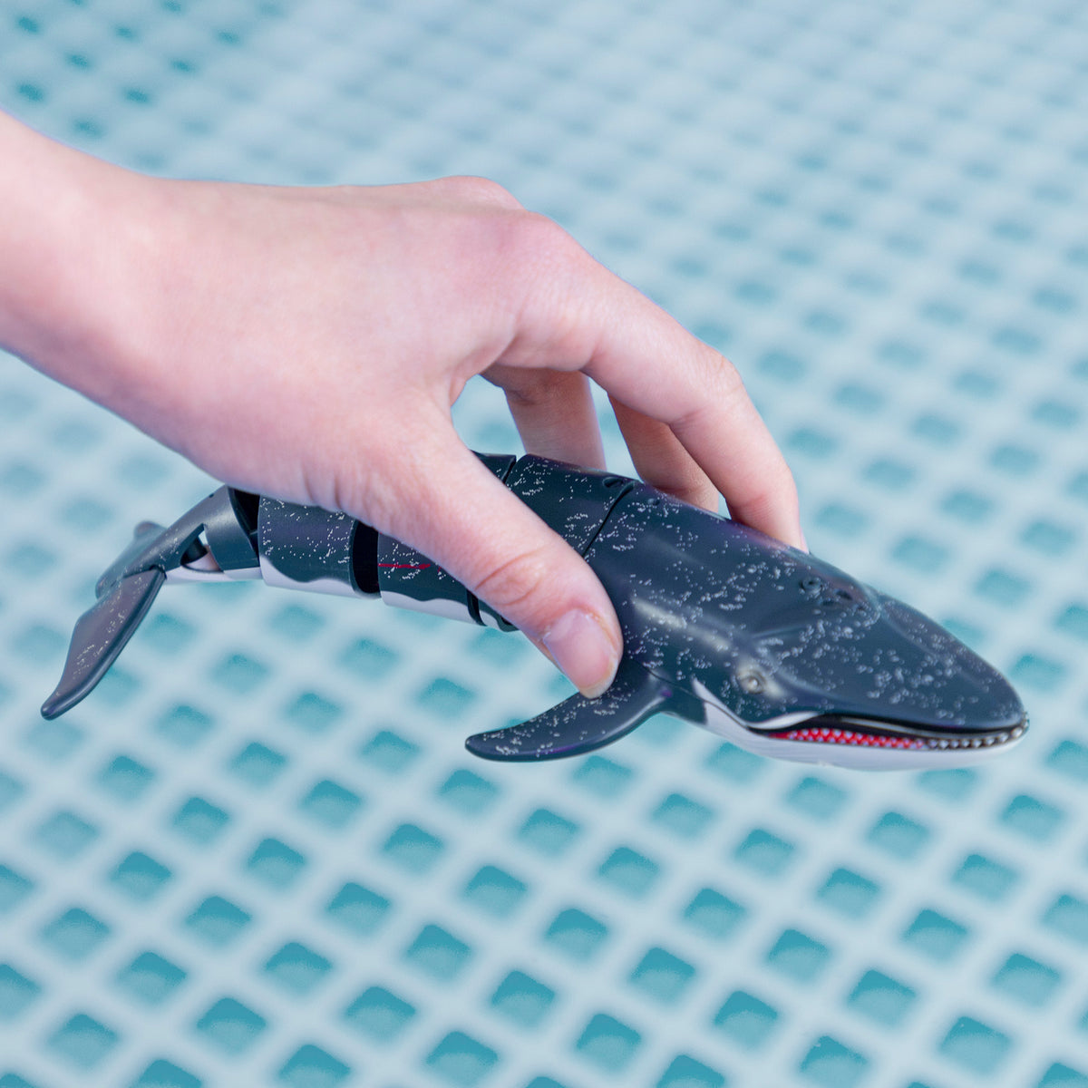 Ballena de juguete teledirigida 20 cm Racing Boat