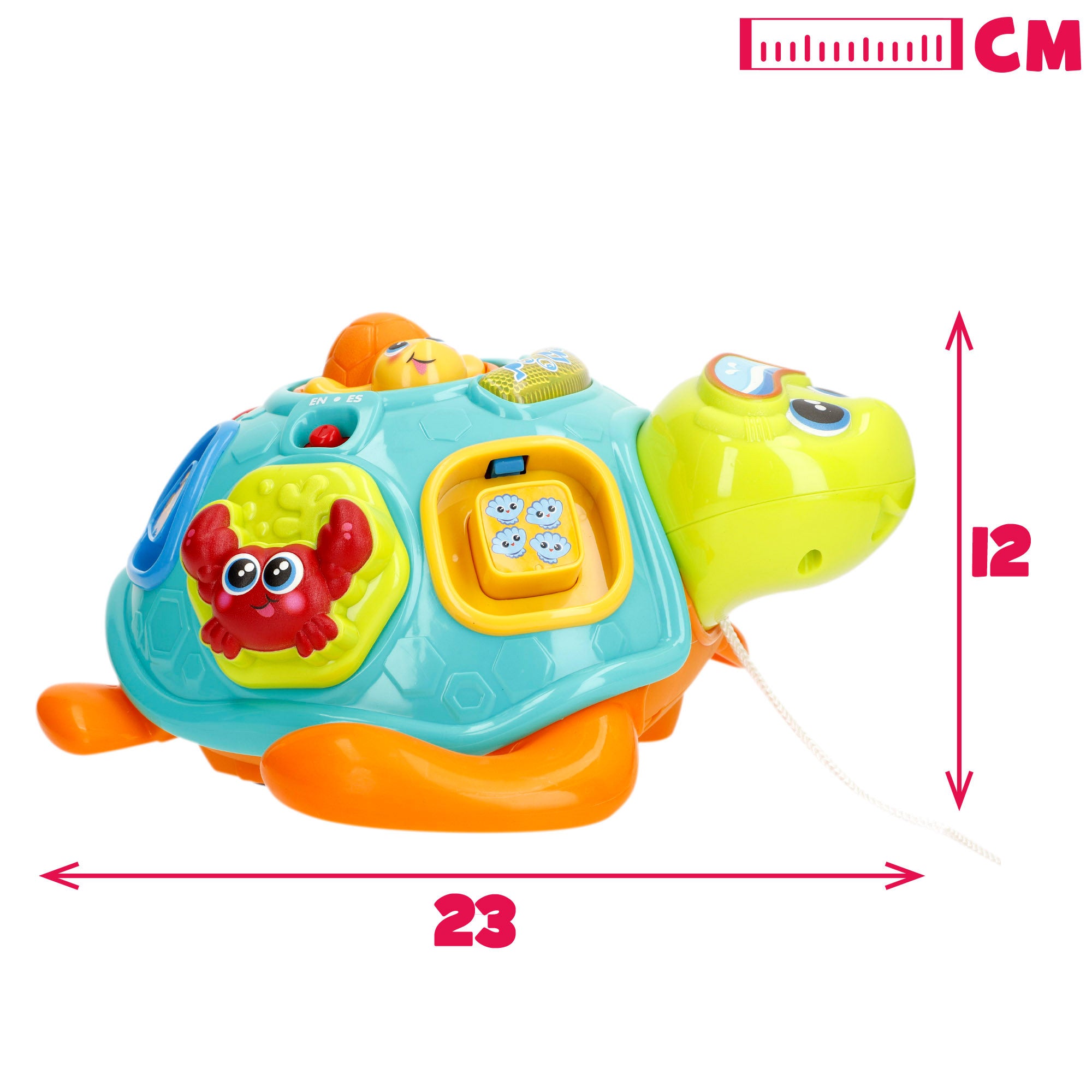 Winfun Arrastre musical tortuga con luz y sonido