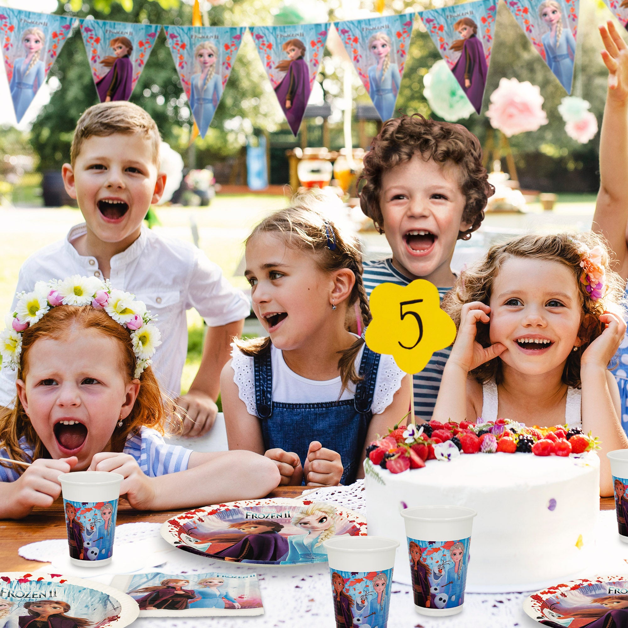 Frozen Set Vajilla infantil y decoración desechable 66 piezas