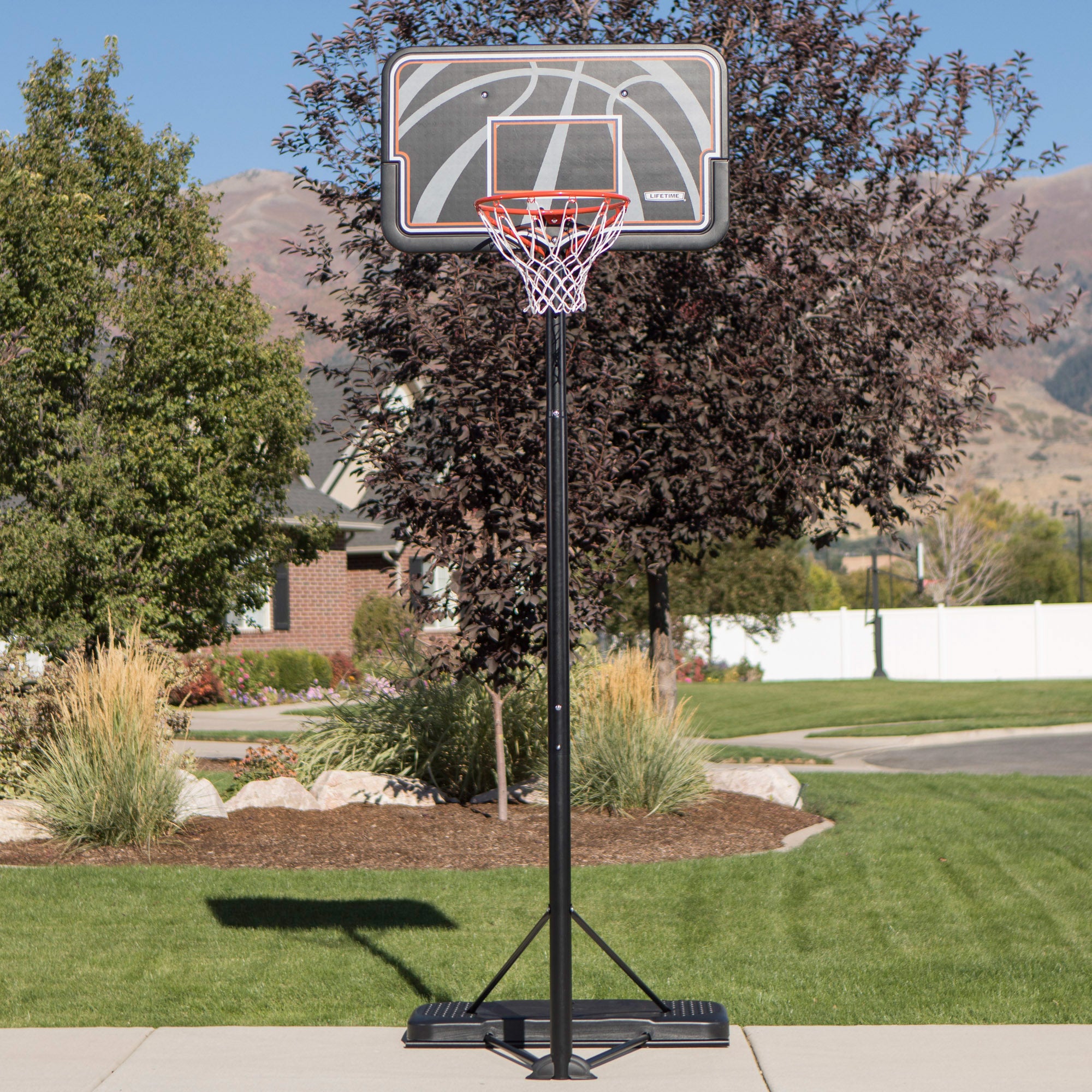 Canasta baloncesto ultrarresistente LIFETIME altura regulable 229/305 cm uv100